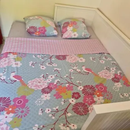 Coraux Apartamento *