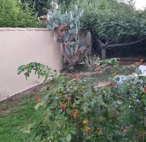 Coraux شقة ليه ليكيه